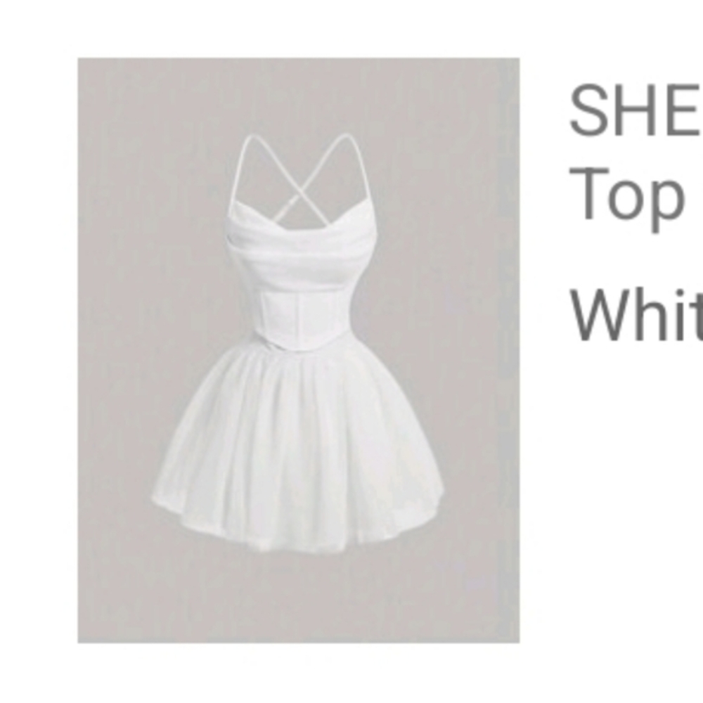 SHEIN MOD Draped Collar Cami  Top & Mesh Skirt